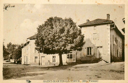 St Martin Le Vieux * Place Du Village * Arbre Tree - Autres & Non Classés