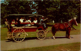 Michigan Dearborn Greenfield Ville Typical Village Carriage - Dearborn