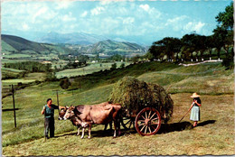 (3 H 11) Portugal - Sendender - Farming - Cow's Cart - Attelages