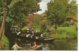 Giethoorn - Giethoorn