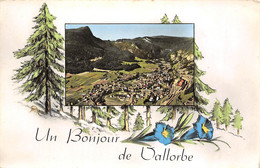 VALLORBE- UNE BONJOUR DE VALLORBE - VD Vaud