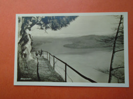 CPSM PHOTO GLACEE  SUISSE  BURGENSTOCK  NON VOYAGEE  CARTE EN TRES BON ETAT - Andere & Zonder Classificatie