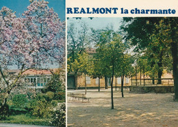 REALMONT.....LA CHARMANTE.....edit  Combier - Realmont