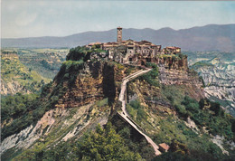 (V335) - CIVITA DI BAGNOREGIO (Viterbo) - Panorama - Viterbo