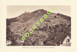 PLANCHE DOCUMENTAIRE - PHOTO  20cm X 29cm - RIBEAUVILLE - LE VIGNOBLE - LIBRAIRIE DE L'ENSEIGNEMENT 1928 - Plaatsen