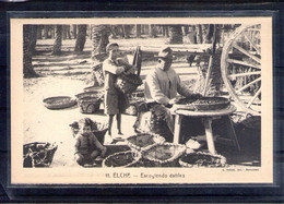 Delcampe - Espagne. Elche. Escogiendo Datiles - Alicante