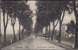 Friesack, An Der Bahnhof Chaussee, Gelaufen 1909 - Friesack