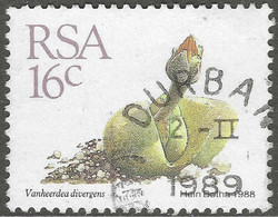 South Africa. 1988 Succulents. 16c Used. SG 659 - Oblitérés