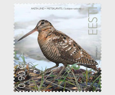 Estonia Estland 2022 Bird Of The Year The Eurasian Woodcock Stamp Mint - Andere