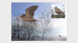 Estonia Estland 2022 Bird Of The Year The Eurasian Woodcock FDC - Andere