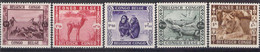 Congo Belge 1939 - COB 209/13 ** MNH  - Cote 85 COB 2022 - Nuevos