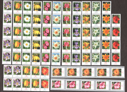 Germania 2006/07 Flowers Strip Of 5 From Coils With Back Number **/MNH VF - Ungebraucht