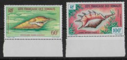 COTE DES SOMALIS - 1962 - POSTE AERIENNE YVERT N°31/32 ** MNH - COTE = 23 EUR. - COQUILLAGES - Ungebraucht