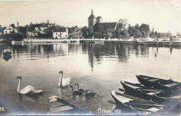 Arbon - Idyll Mit Schwänen         Ca. 1920 - Arbon