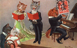 CAT,CHAT,APPARENCE HUMAINE,PIANISTE,CHANTEUR,CHORALE,1910 - Autres & Non Classés