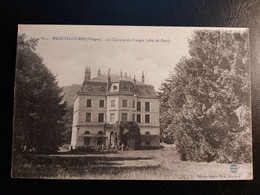 88 - Vosges  - BROUVELIEURES  - Le Château Des Forges - Brouvelieures