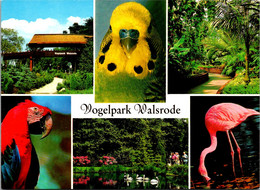 Germany Walsrode Vogelpark Bird Park Multi View Flamingo Parrot & More - Walsrode