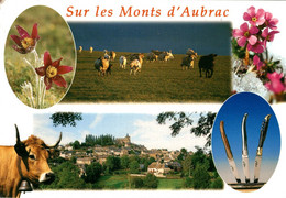 Les Monts D'aubrac Flore Et Faune  1999  CPM Ou CPSM - Otros & Sin Clasificación