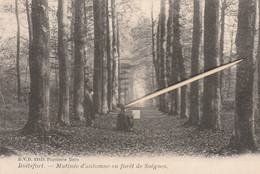 Boitsfort, Matinée D'Automne Au Forêt De Soignes, 2 Scans - Watermael-Boitsfort - Watermaal-Bosvoorde