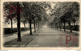 RPPC LIME TREE AVENUE NORFOLK PARK  SHEFFIELD (Real Photographic (RP) - Sheffield