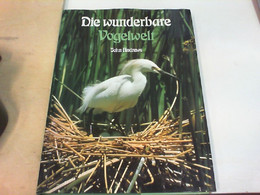 Die Wunder Der Vogelwelt - Animales