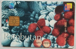 Indonesia Chip Card 200 Unit Rp 35,200 RAMBUTAN ( Only 5,000 Issued ) - Indonesia