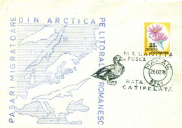 Romania 1978 Cover Arctic Migratory Bird Bird Large Sea Velvet Duck Limited Edition 072/400 - Poststempel (Marcophilie)