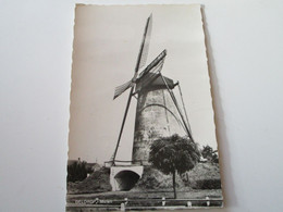 Molen - Geldrop