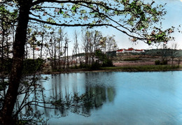 9657 HAUTEVILLE LOMPNES " La Savoie" Et L'Etang    (recto-verso) 01 Ain - Hauteville-Lompnes