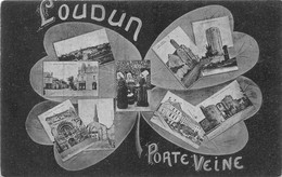 86-LOUDUN -PORTE-VEINE- MULTIVUES - Loudun