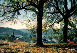 9660 HAUTEVILLE LOMPNES Vue Générale      (recto-verso) 01 Ain - Hauteville-Lompnes