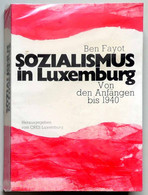 Ben Fayot - Sozialismus In Luxemburg : Von Den Anfängen Bis 1940 - Politik & Zeitgeschichte