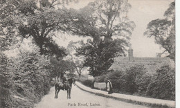 LUTON - PARK ROAD. - Autres & Non Classés