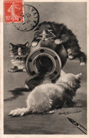 CAT,CHAT,CHATON,1907 - Katzen
