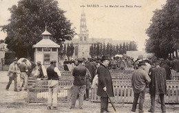 BAYEUX - Le Marché Aux Petits Porcs - Très Bon état - Bayeux
