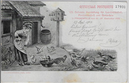 VII. Schweiz. Ausstellung Für Landwirtschaft, Forstwirtschaft U. Gartenbau Frauenfeld 1903 - Frauenfeld