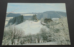 Winter In Weweler (Burg-Reuland) - Bäckerei-Konditorei-Caféstube Walter Richter-Heinen - Werbepostkarten