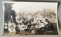 2 Cpa Fête Familiale Sous Les Olivier Colonie Française à Identifié - Photos