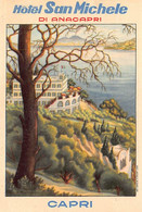 014097 "CAPRI - HOTEL DI SAN MICHELE - DI ANACAPRI"  ETICHETTA. III QUARTO XX SECOLO - Etiquettes D'hotels