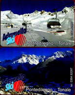 G 1746 248 C&C 3860 2 SCHEDE TELEFONICHE NUOVE MAGNETIZZATE ADAMELLO TONALE PONTEDILEGNO - Erreurs & Variétés