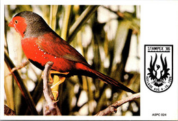 (3 H 24) Australia - Postcard (cancelled 1986 For Adelaide STAMPEX Stamp Show) 4 Postcard (Birds) - Andere & Zonder Classificatie