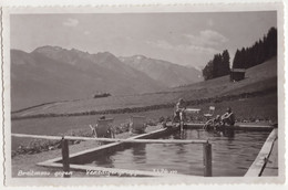 Breitmoos Gegen Venedigergruppe 3674 M - (Salzburg, Österreich / Austria) - Hotel, Schwimmbad / Piscine / Swimmingpool - Mittersill