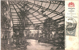 CPA- Carte Postale  Belgique-Bruxelles Laeken Parc Royal La Serre Du Théâtre Début 1900 VM48217 - Forêts, Parcs, Jardins