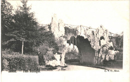 CPA- Carte Postale  Belgique-Bruxelles Laeken Pont Rustique Début 1900  VM48222 - Forêts, Parcs, Jardins