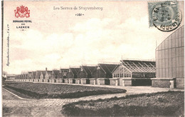CPA- Carte Postale  Belgique-Bruxelles Laeken Serres Du Stuyvenberg   1903VM48223 - Forêts, Parcs, Jardins