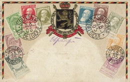 BELGIQUE-TIMBRES ROI LEOPOLD II-CARTE PHILATELIQUE GAUFREE-1905 - Briefmarken (Abbildungen)