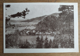 Griffen Panorama, 1950s?, Atzwanger, Grebinj, Volkermarkt, Karnten, Koroška - Völkermarkt