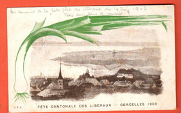 ZBA-04 RARE Fête Cantonale Des Libéraux. Politique. Circ. Corcelles 1903 Vers Corcelles Neuchâtel Corcelles-Cormondrèche - Corcelles