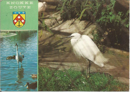 KNOKKE ZOUTE.  La Réserve Ornithologique Du Zwin. (scan Verso) - Knokke