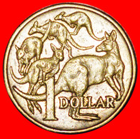 * 5 KANGAROOS (1985-1998): AUSTRALIA 1 DOLLAR 1994! LOW START ★ NO RESERVE! - Dollar